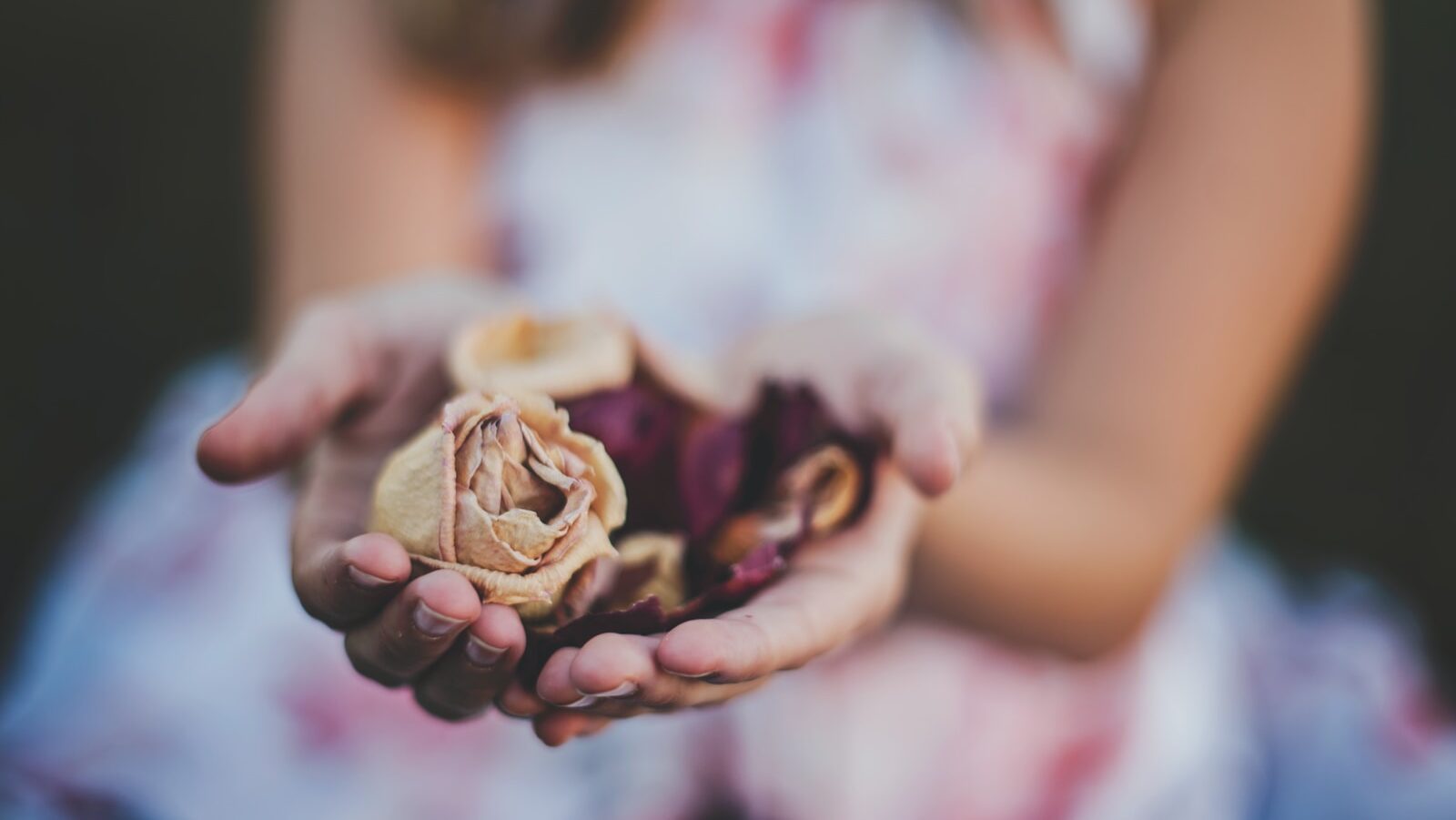 selective focus photography of a girl holding flowers
